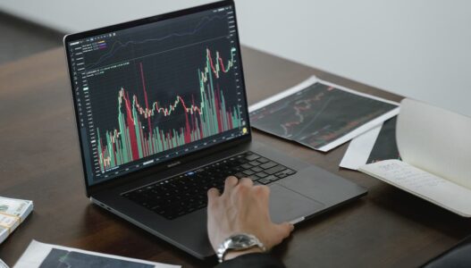 What types of blockchain networks exist?